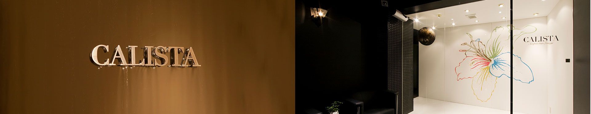 美容鍼・鍼灸サロン カリスタ 会社案内